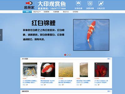 <b>大印观赏鱼</b>