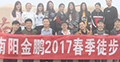 金鹏电商